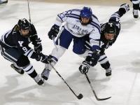 IM电竞注册-哈利伯顿存在感拉满，太阳碾压鹈鹕，一场战术与意志的全面胜利