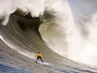 IM竞技-利拉德完美发挥诠释巨星本色，太阳团队篮球轻取老鹰展现实力