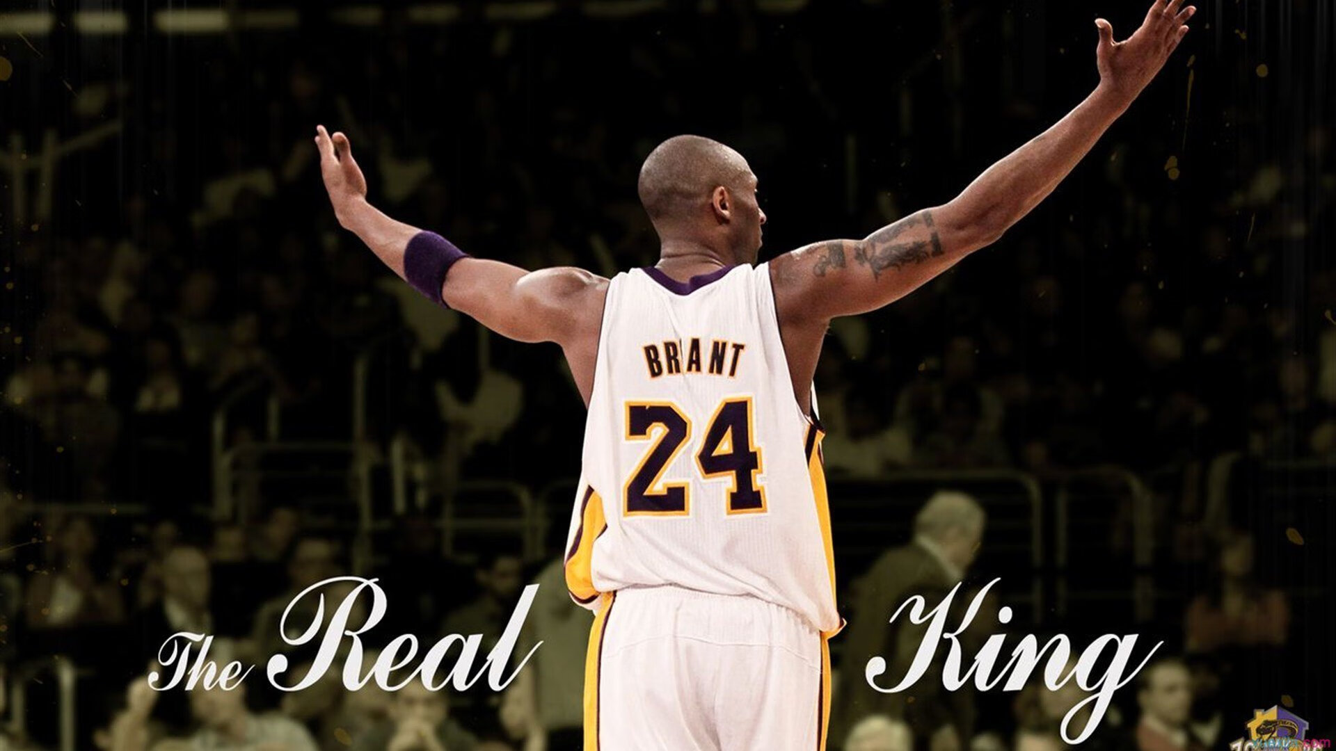 南美狂飙与欧洲铁骑，阿根廷单节风暴与莱万的年度接管之战